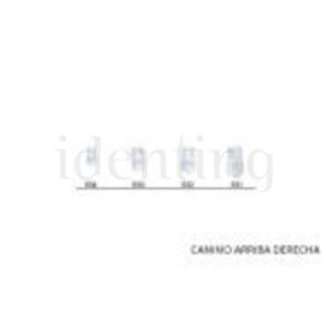 CORONAS STK5K532 CANINO SUP.DCHA. X5