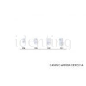 CORONAS STK5K534 CANINO SUP.DCHA. X5