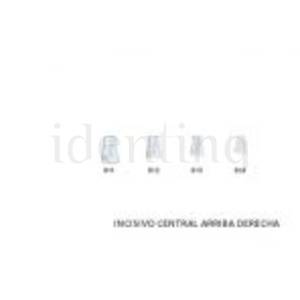 CORONAS STK5K614 INCISIVO CENTRAL SUP.IZDA. X5
