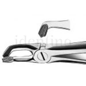 FORCEPS MARTIN E79 cordales inf