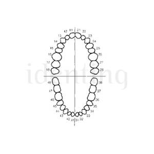 FRASACO DIENTES DE RESINA AG3 (6 UNI)