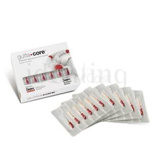 GUTTACORE obturador 25 5 ud