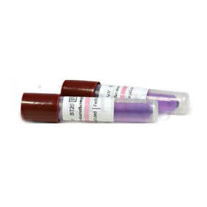 INDICADOR BIOLOGICO ESTERILIZACIÓN BT20 100 ud