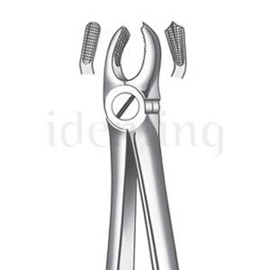 M2017 FORCEPS MOLAR SUP. DCHO.