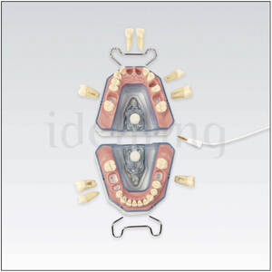 MODELO AREEMZ3RN903 p/radiografia y conductometria