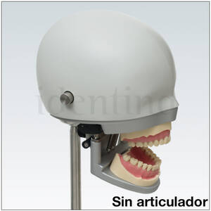 P63OA CABEZA SIN ARTICULADOR