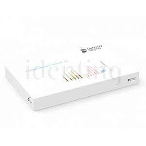 PROTAPER ULTIMATE discovery kit 1 tratamiento