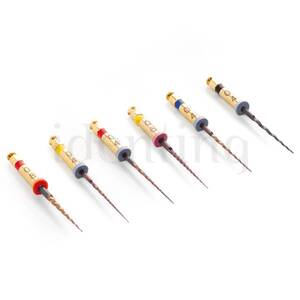 HYFLEX CM NITI limas 04 nº 50 21mm 6 ud