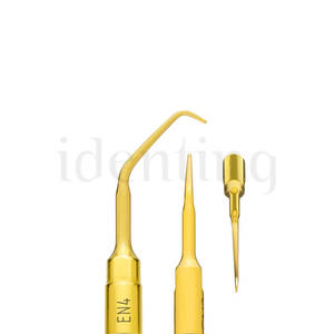 PIEZOSURGERY inserto EN4